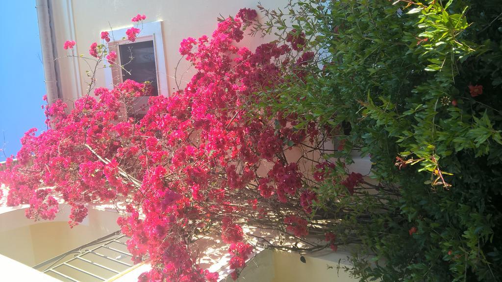 Salvanos Residence إيبسوس المظهر الخارجي الصورة