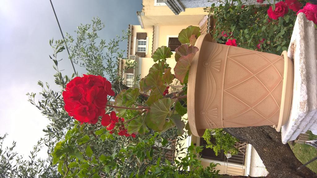 Salvanos Residence إيبسوس المظهر الخارجي الصورة